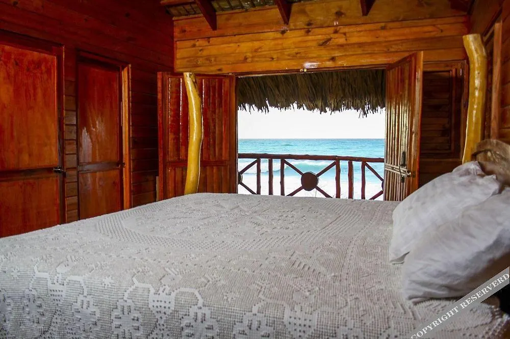***  Hotel Sea Breeze Paraíso جمهورية الدومينيكان